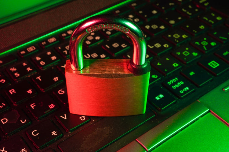 VPN & Privacy – günstig kaufen bei PE Digital Networks | Software, KI, Gaming