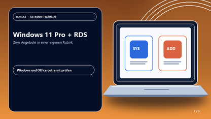 Windows 11 Pro + RDS — Produktübersicht