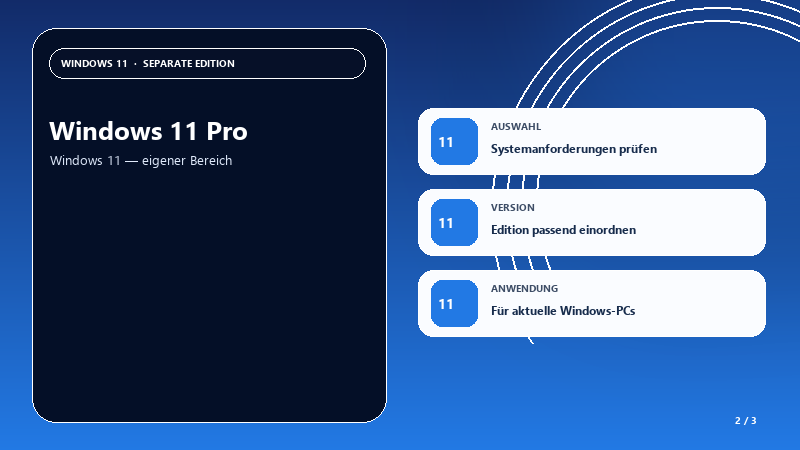 Windows 11 Pro — Auswahlhilfe