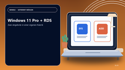 Windows 11 Pro + RDS — Anwendungsszene