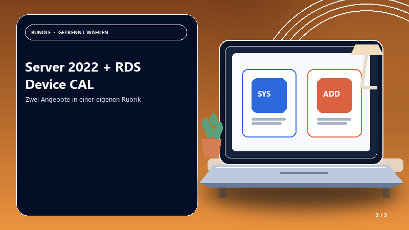 Server 2022 + RDS Device CAL — Anwendungsszene