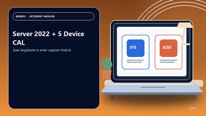 Server 2022 + 5 Device CAL — Anwendungsszene