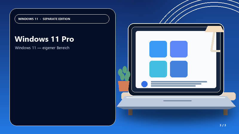 Windows 11 Pro — Anwendungsszene