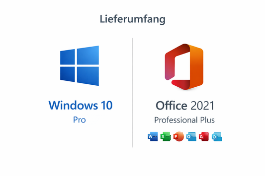Windows 10 Pro + Office 2021 professional Plus Benutzeroberfläche – Bundle Dashboard Screenshot