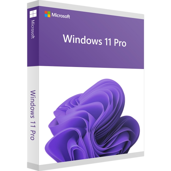 Windows 11 professional Sofortdownload